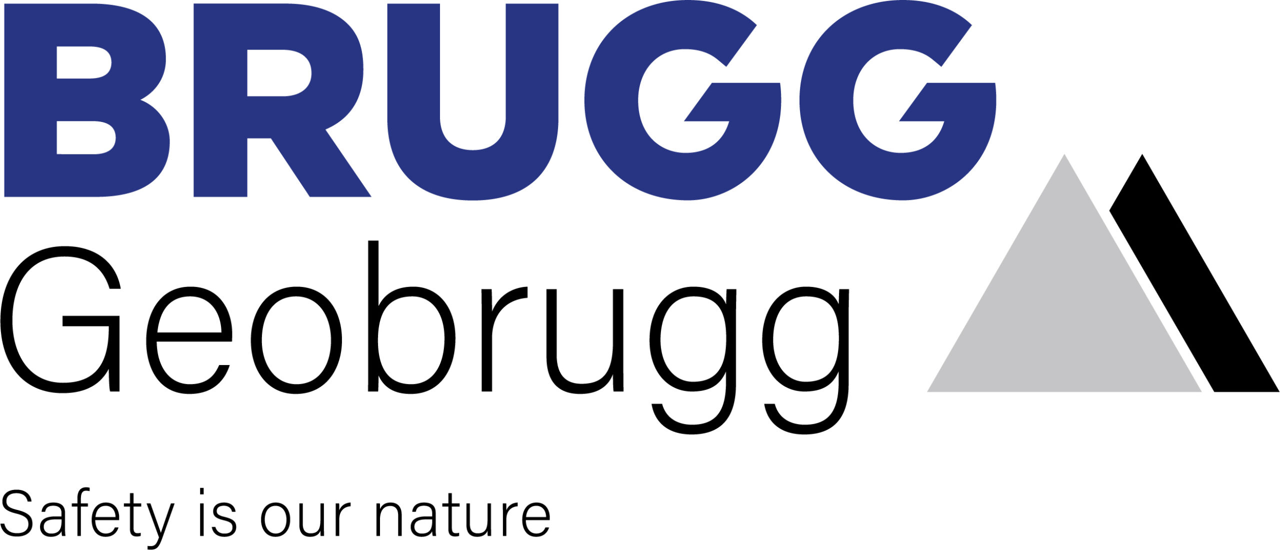 Geobrugg Logo